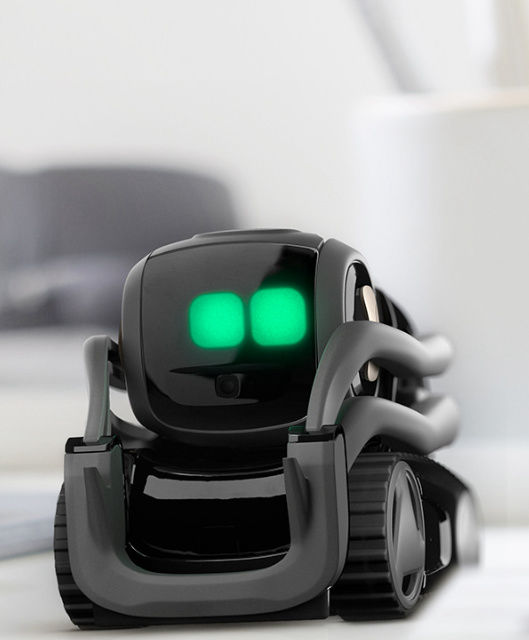 Home robotics is here in the form of Vector